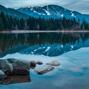 Meet your Posher, Izzy